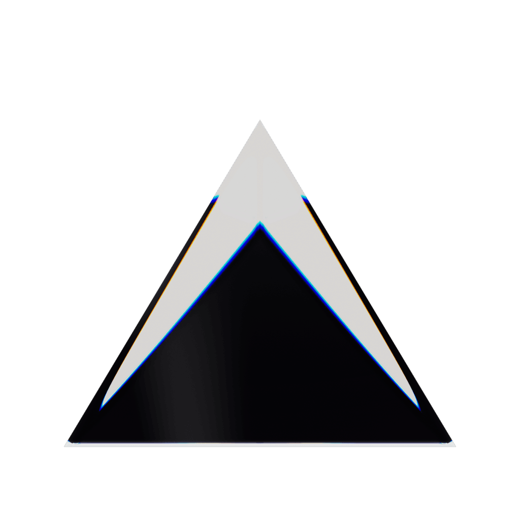 RandoriSec Triangle 10