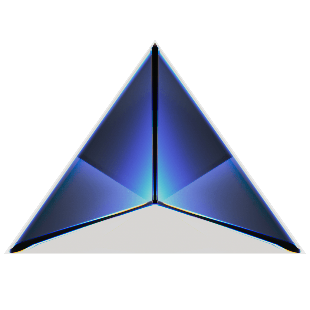 RandoriSec Triangle 24