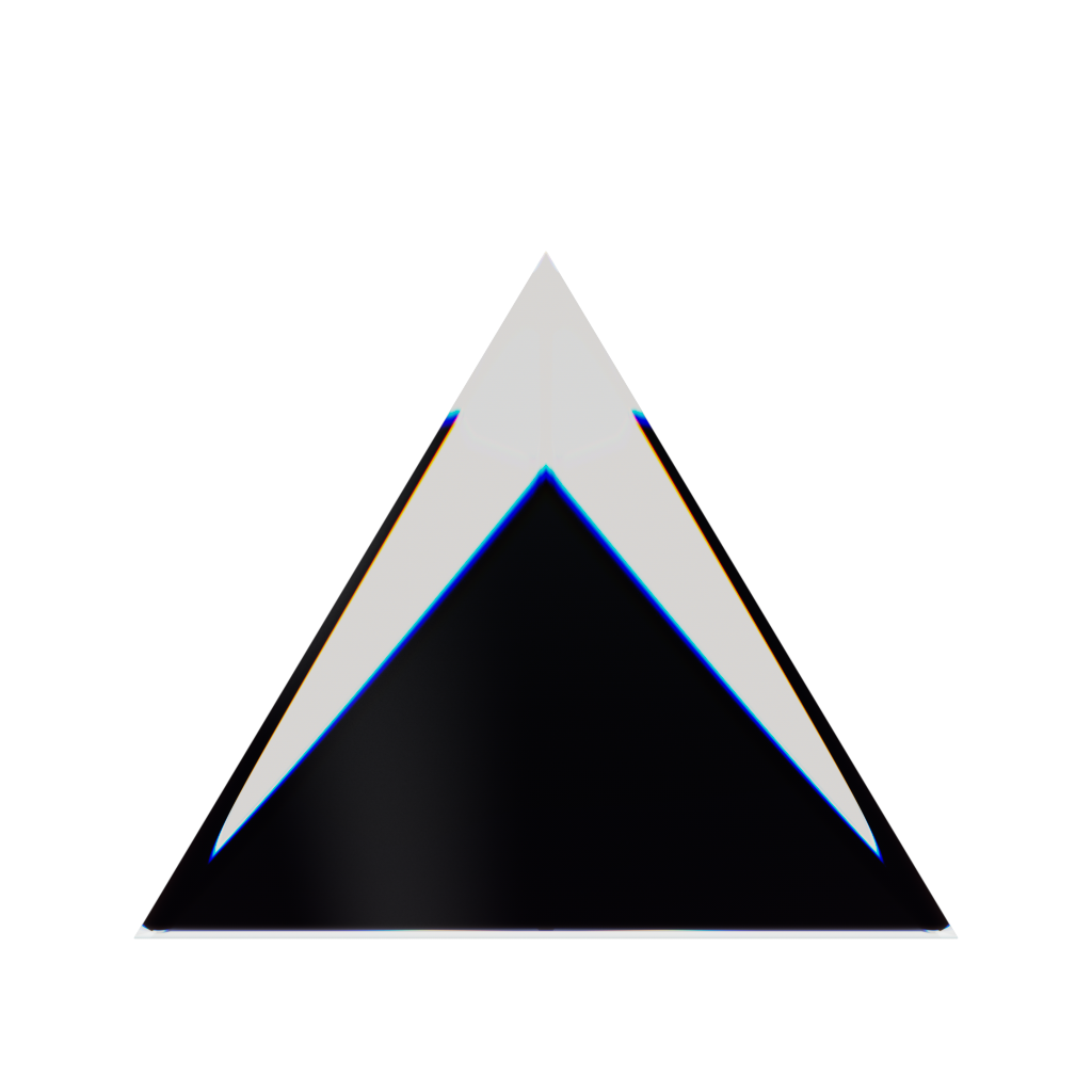 RandoriSec Triangle 10