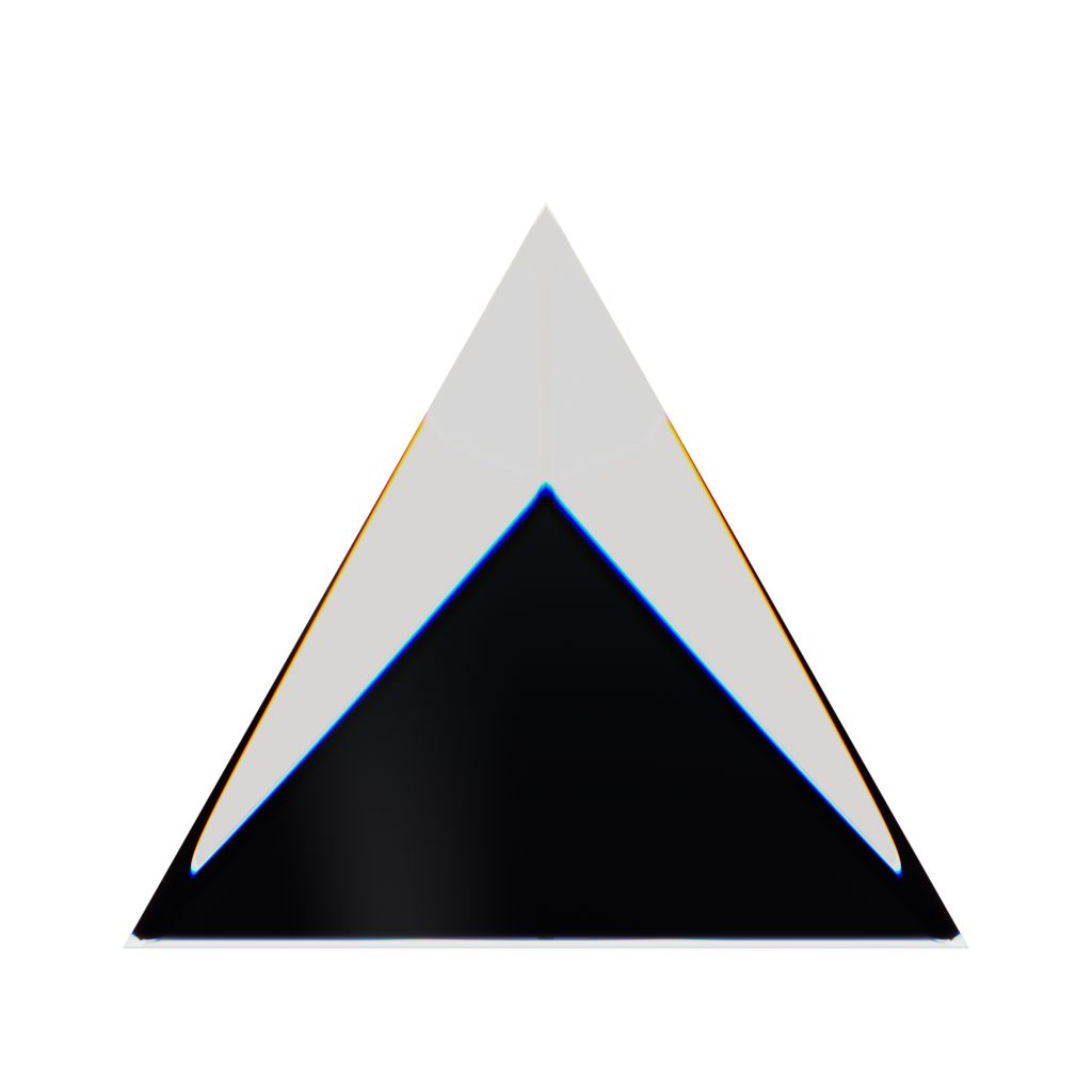 RandoriSec Triangle 11