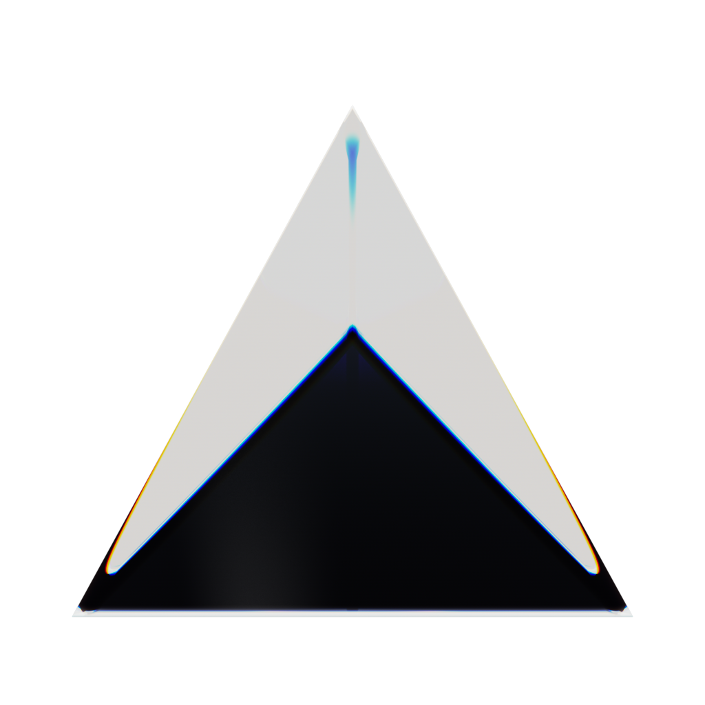 RandoriSec Triangle 12