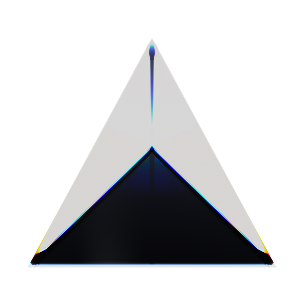 RandoriSec Triangle 13