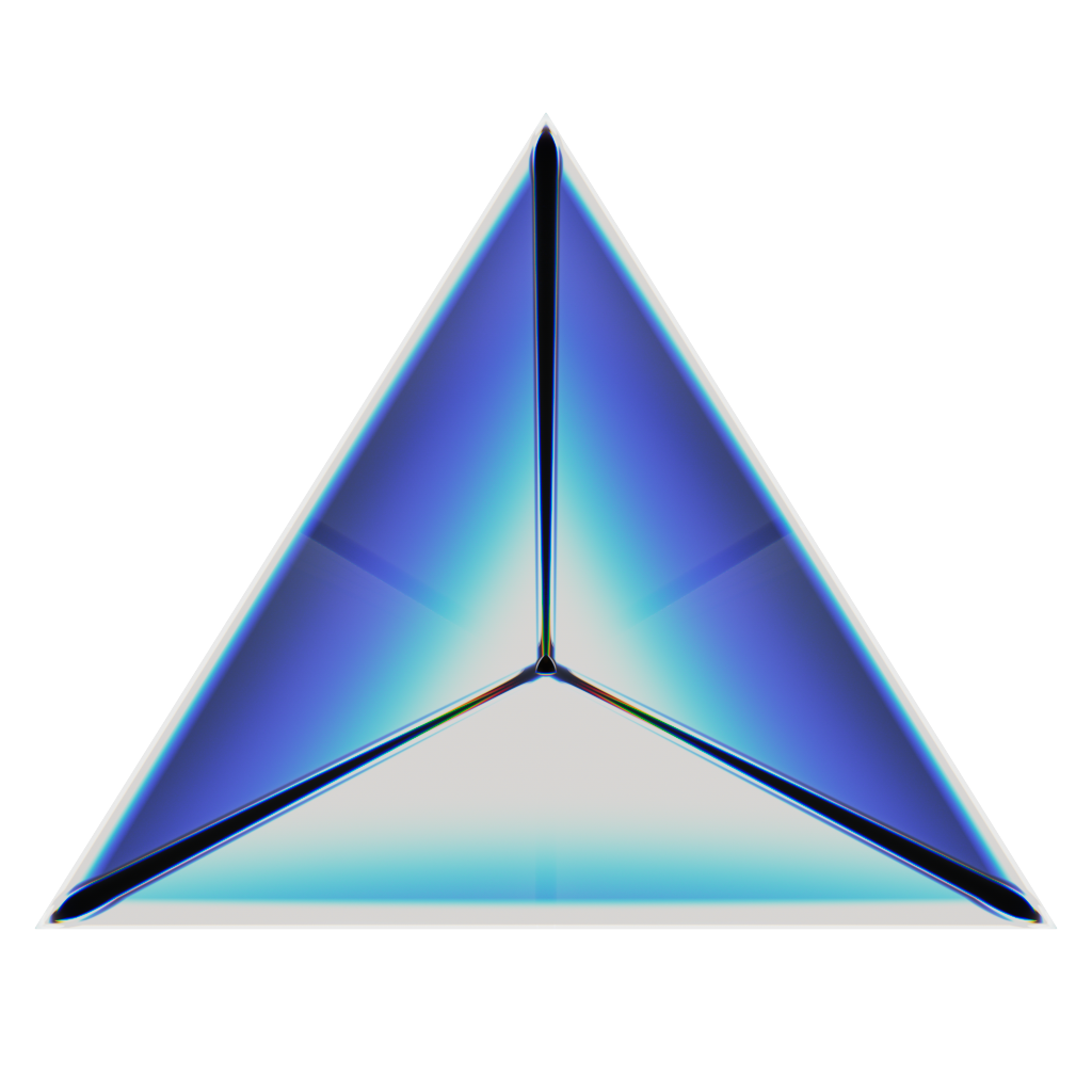 RandoriSec Triangle 19