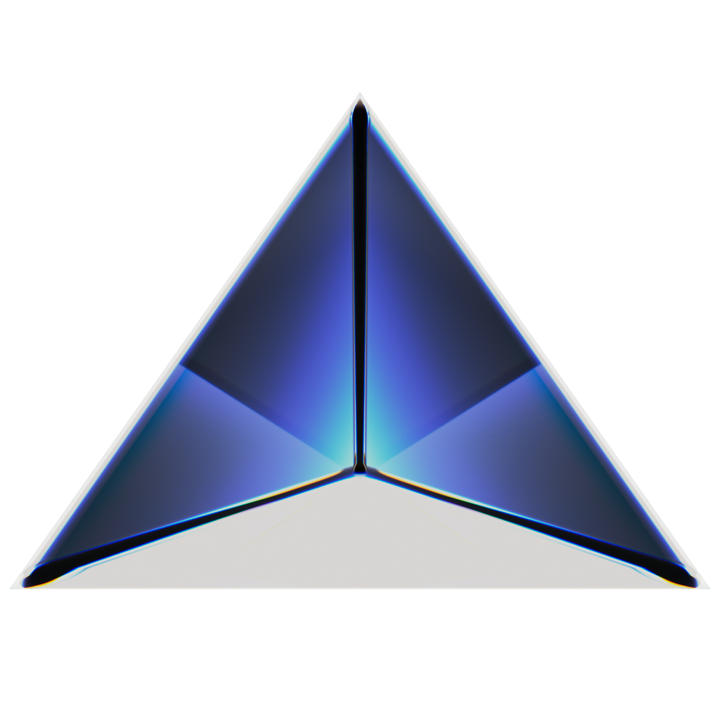RandoriSec Triangle 24