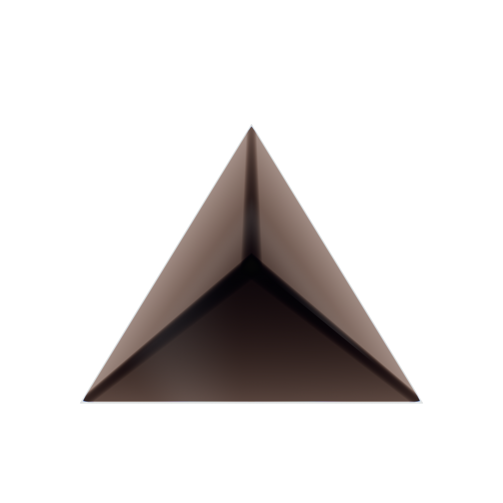 RandoriSec Triangle 5