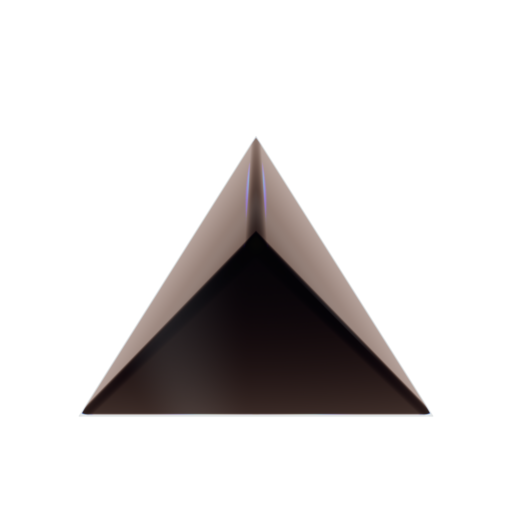 RandoriSec Triangle 6