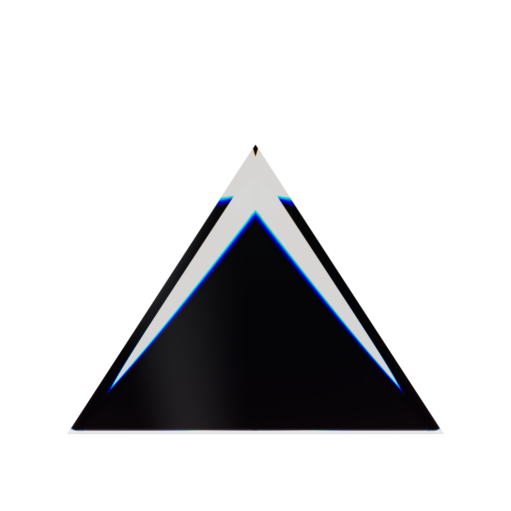 RandoriSec Triangle 9